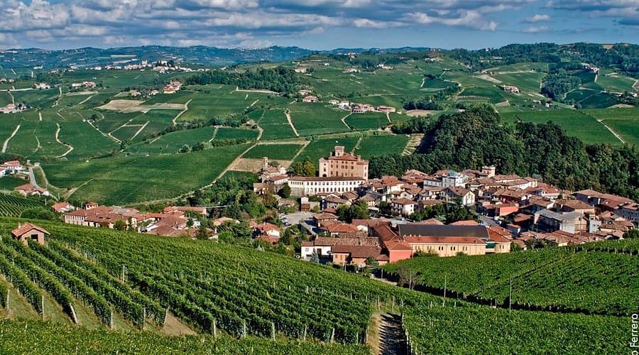 Barolo